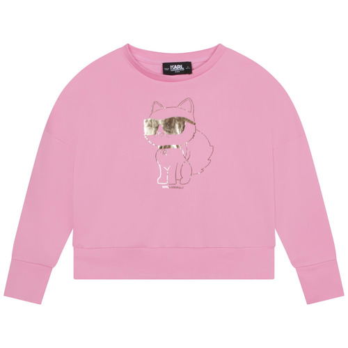 Clothing Girl Sweaters Karl Lagerfeld Z15425-465-C Pink