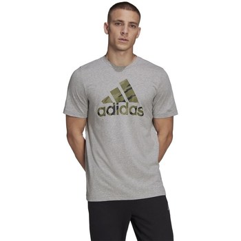 Clothing Men Short-sleeved t-shirts adidas Originals Logo Camo Grey