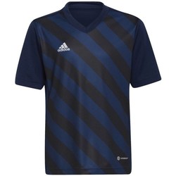Clothing Boy Short-sleeved t-shirts adidas Originals Entrada 22 Graphic Jersey Navy blue, Black