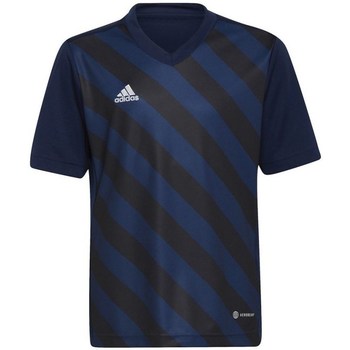 Clothing Boy Short-sleeved t-shirts adidas Originals Entrada 22 Graphic Jersey Black, Navy blue