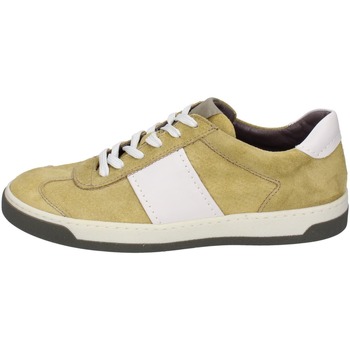 Shoes Men Trainers Pollini BE110 Yellow