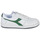 Shoes Low top trainers Diadora MAGIC BASKET LOW ICONA White / Green