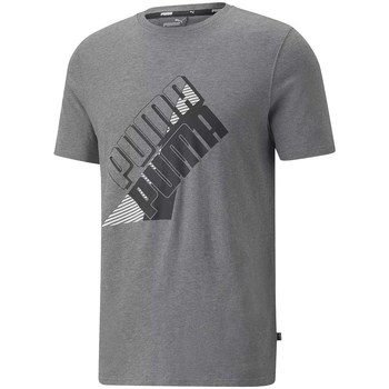 Clothing Men Short-sleeved t-shirts Puma Power Logo Tee Grey