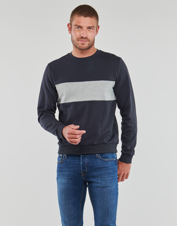 Clothing Men Sweaters Geox M SWEATER R-NECK BAN Marine / Grey