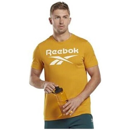 Clothing Men Short-sleeved t-shirts Reebok Sport Big Logo Tee Orange