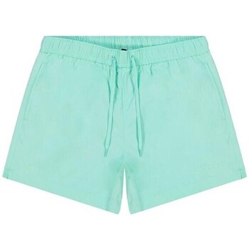 Clothing Men Cropped trousers Champion Beachshort Green