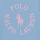Clothing Girl Short-sleeved t-shirts Polo Ralph Lauren SS GRAPHIC T-KNIT SHIRTS-T-SHIRT Blue / Sky / Pink