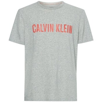 Clothing Men Short-sleeved t-shirts Calvin Klein Jeans 000NM1959EW6K Grey