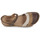 Shoes Women Sandals Josef Seibel ROSALIE 44 Brown / Beige