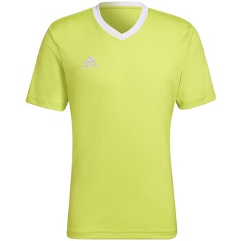 Clothing Men Short-sleeved t-shirts adidas Originals Entrada 22 Green