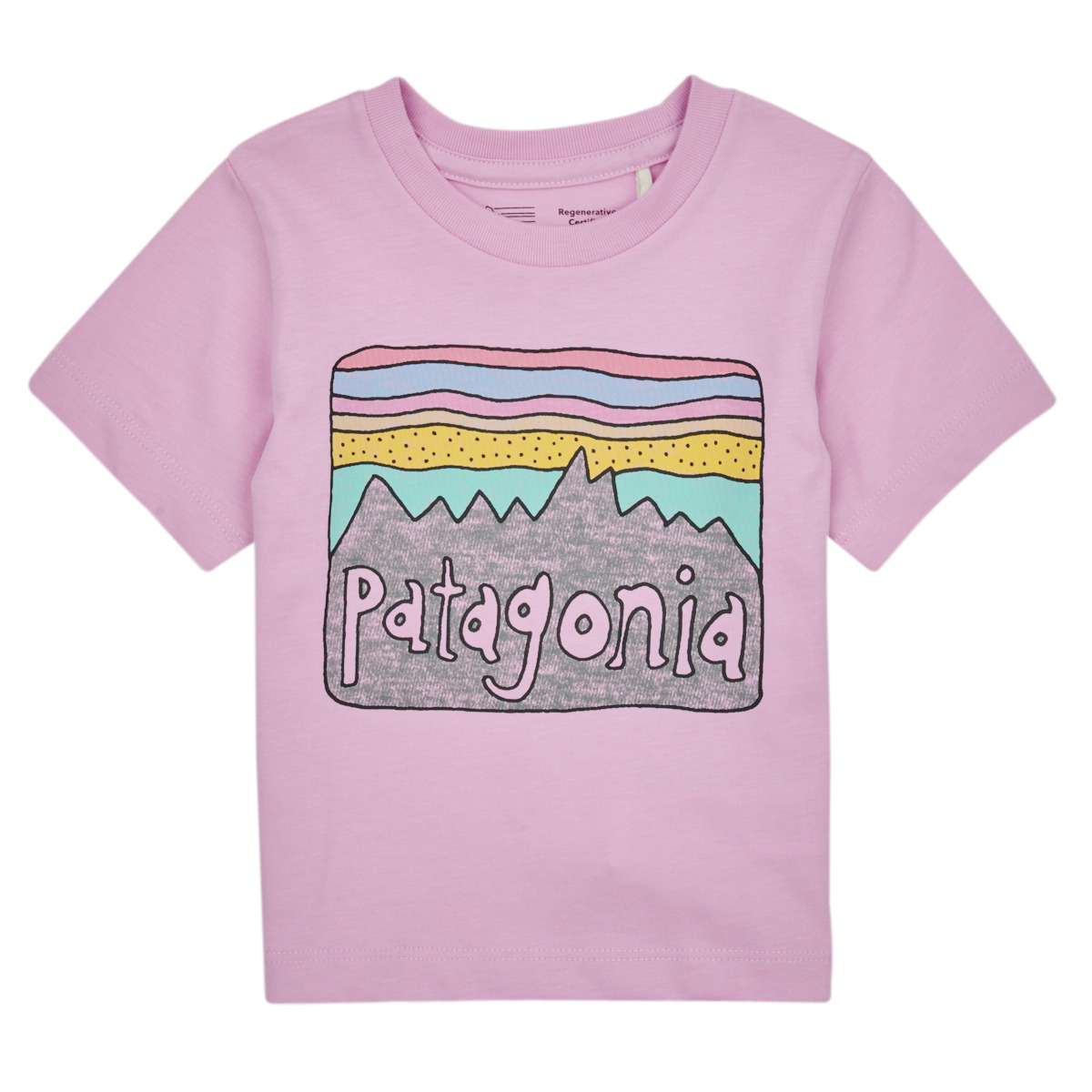 patagonia  baby regenerative organic certified cotton fitz roy skies t-  boys's children's t shirt in purple