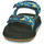 Shoes Boy Sandals Quiksilver MONKEY CAGED TODDLER Blue