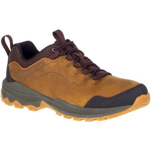 Shoes Men Walking shoes Merrell Forestbound WP Brown