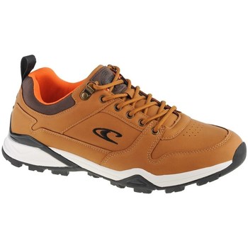 Shoes Men Low top trainers O'neill Reversed Peak Brown