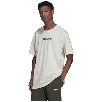Clothing Men Short-sleeved t-shirts adidas Originals Adventure Mountain Spray Tee White