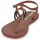 Shoes Women Sandals Ipanema CHARM SANDAL LOOP Brown