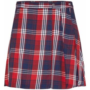Clothing Women Skirts Tommy Hilfiger DW0DW14420 C87 Navy blue, Red