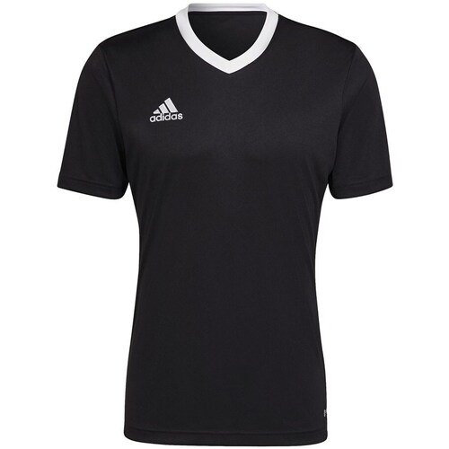 Clothing Men Short-sleeved t-shirts adidas Originals Entrada 22 Black