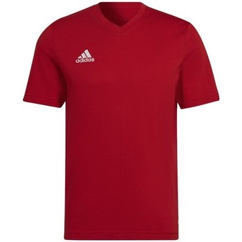 Clothing Men Short-sleeved t-shirts adidas Originals Entrada 22 Red