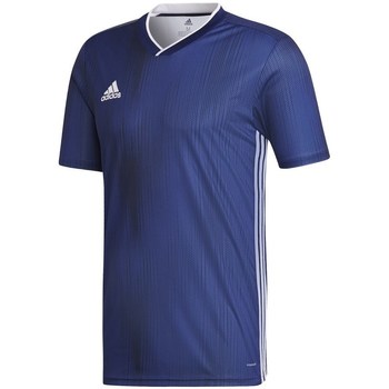 Clothing Men Short-sleeved t-shirts adidas Originals Tiro 19 Blue