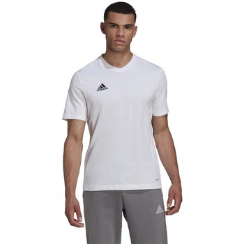 Clothing Men Short-sleeved t-shirts adidas Originals Entrada 22 White