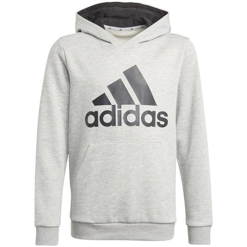 Clothing Men Sweaters adidas Originals Big Logo HD Grey