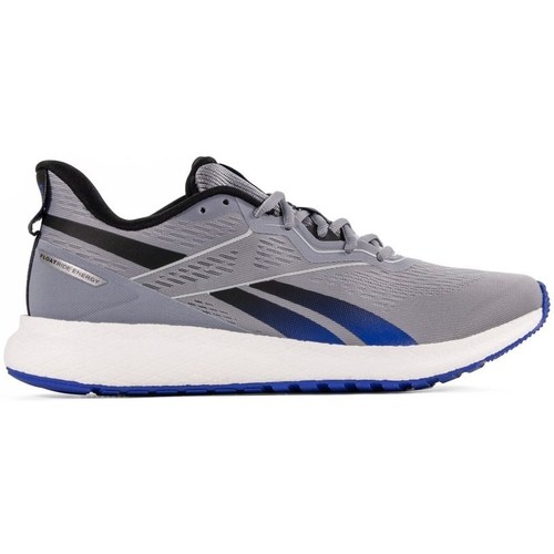Shoes Men Low top trainers Reebok Sport Forever Floatride E Grey