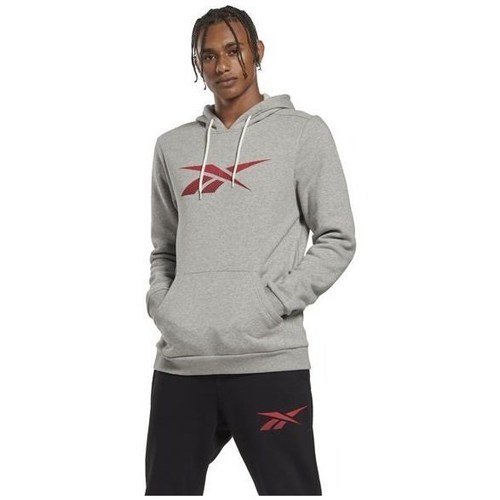 Clothing Men Sweaters Reebok Sport Identity Big Logo Grey