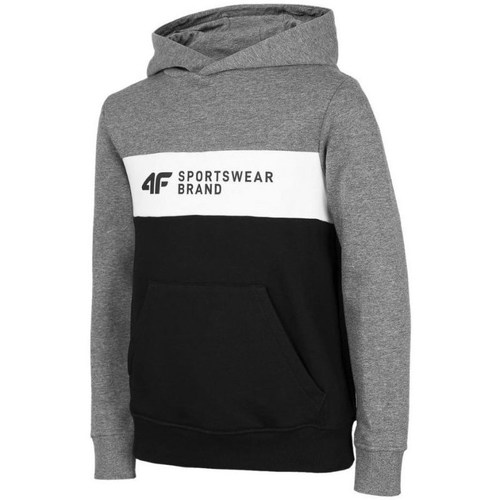 Clothing Boy Sweaters 4F JBLM003 Grey, Black