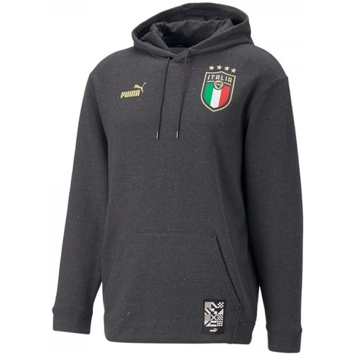Clothing Men Sweaters Puma Figc Ftbl Coulture Hoody Grey