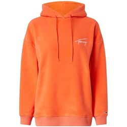 Clothing Women Sweaters Tommy Hilfiger DW0DW14358XMV Orange