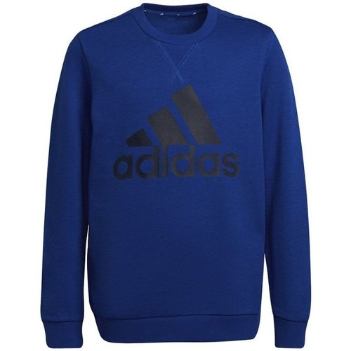 Clothing Boy Sweaters adidas Originals Big Logo JR Blue