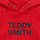Clothing Boy Sweaters Teddy Smith SICLASS HOODY Red