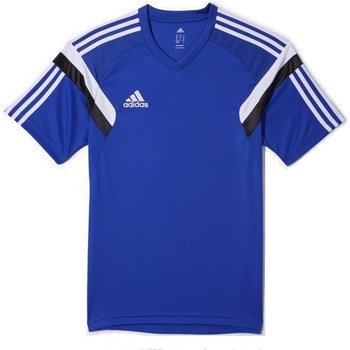 Clothing Men Short-sleeved t-shirts adidas Originals Condivo 14 Training Blue
