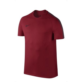 Clothing Men Short-sleeved t-shirts Nike Dry Squad Bordeaux