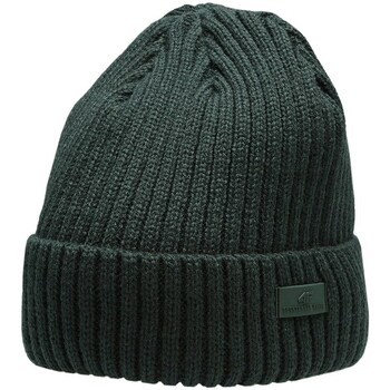 Clothes accessories Hats / Beanies / Bobble hats 4F CAM009 Green