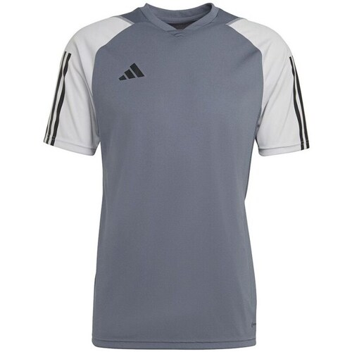 Clothing Men Short-sleeved t-shirts adidas Originals Tiro 23 Competition Grey