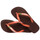 Shoes Flip flops Havaianas BRASIL LOGO Dark / Brown