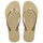 Shoes Women Flip flops Havaianas SLIM GLITTER II Gold