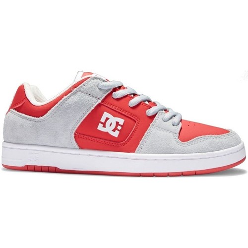Shoes Men Low top trainers DC Shoes Manteca 4 Rgy Red, Grey