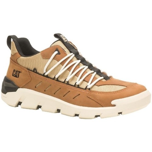 Shoes Men Low top trainers Caterpillar Crail Sport Low Brown