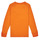 Clothing Boy Long sleeved tee-shirts Levi's LS GRAPHIC TEE SHIRT Orange