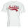Clothing Men Short-sleeved t-shirts Jack & Jones JJELOGO TEE SS O-NECK 2 COL AW23 SN White