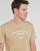 Clothing Men Short-sleeved t-shirts Calvin Klein Jeans VARSITY CURVE LOGO T-SHIRT Beige