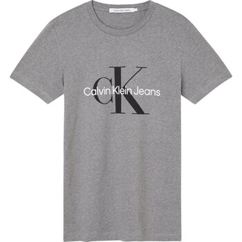 Clothing Men Short-sleeved t-shirts Calvin Klein Jeans J30J320935 P2D Grey