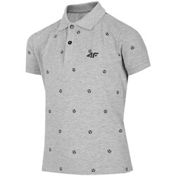 Clothing Boy Short-sleeved t-shirts 4F JTSM004 Grey