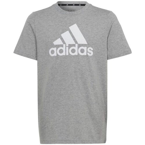 Clothing Boy Short-sleeved t-shirts adidas Originals Big Logo Tee JR Grey