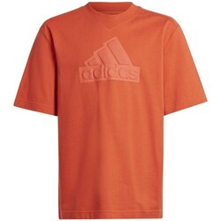 Clothing Girl Short-sleeved t-shirts adidas Originals FI Logo Tee JR Brown