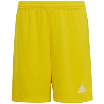 Clothing Boy Cropped trousers adidas Originals Entrada 22 JR Yellow