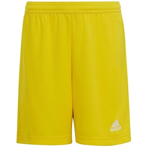 Clothing Boy Cropped trousers adidas Originals Entrada 22 JR Yellow